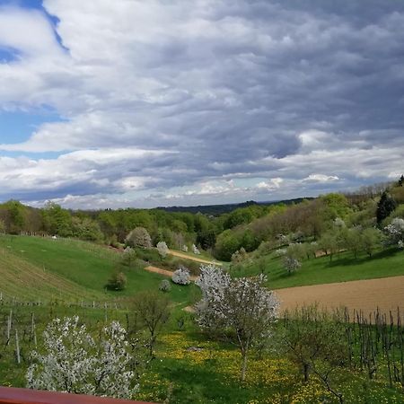 Apartman Ferenac Ozalj Esterno foto