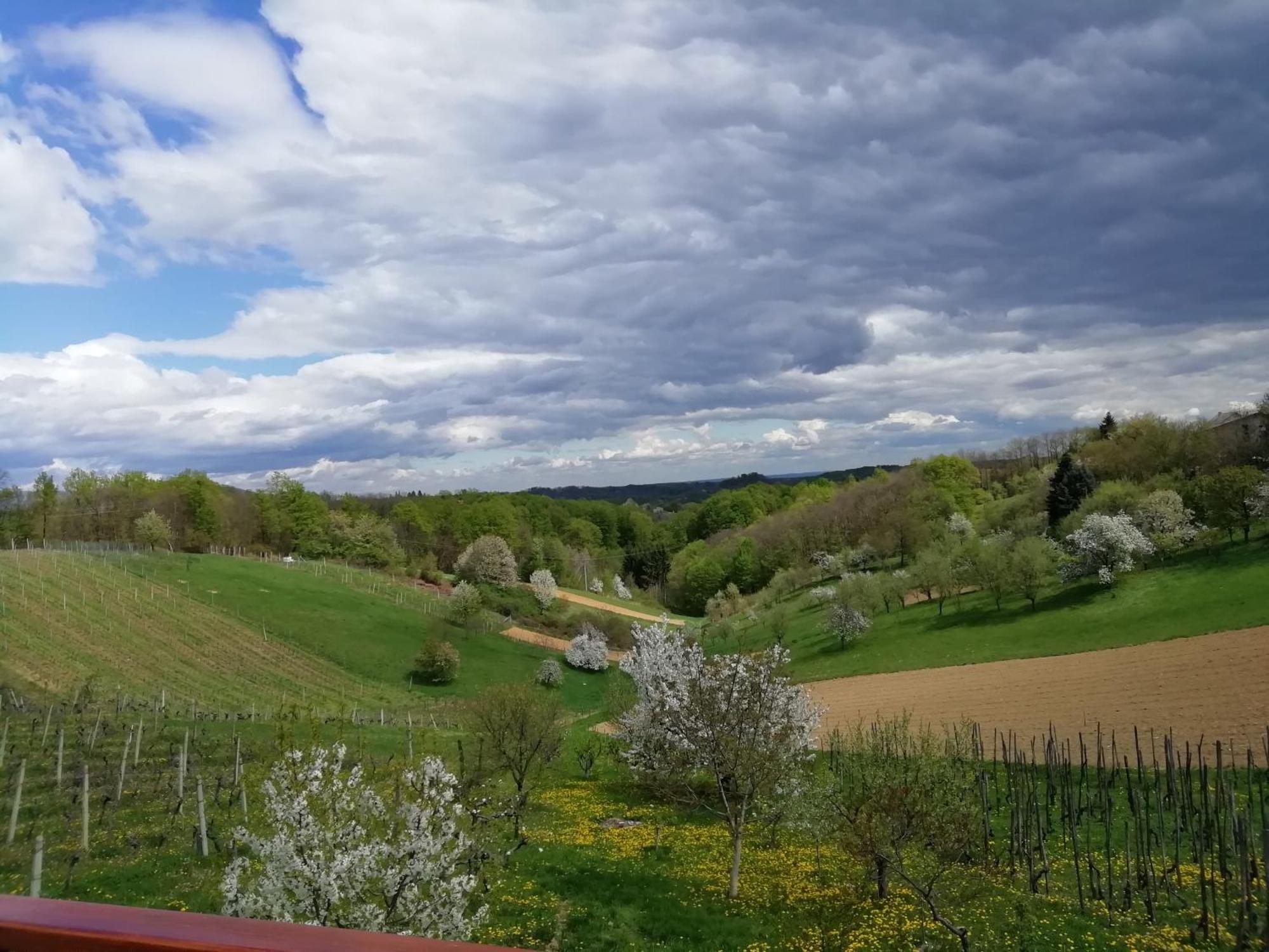 Apartman Ferenac Ozalj Esterno foto
